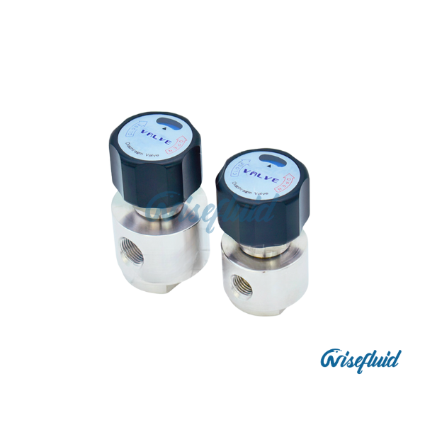 Stainless Steel Diaphragm Valves(DV10)