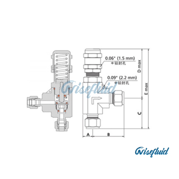 RV(H) Safety Valves