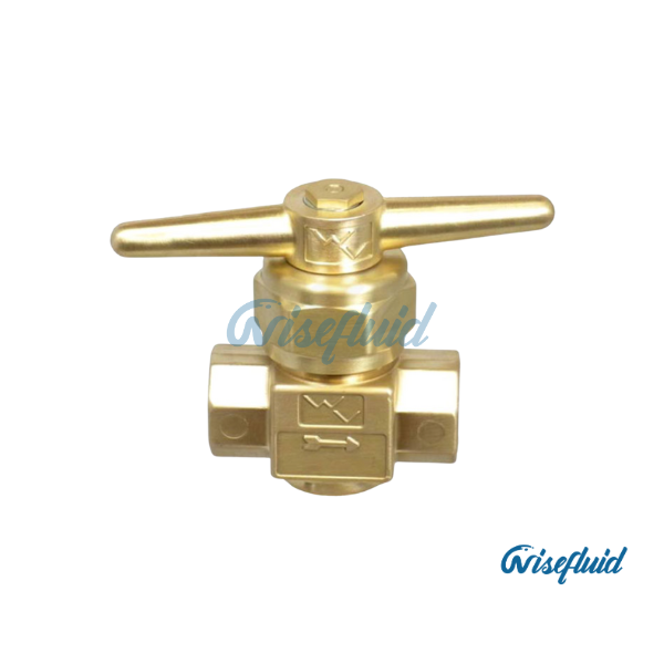 Globe valves(Western Valves 18R2 Series)